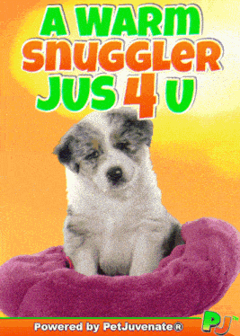 Cuteest Cute Snuggle Cuddle Puppy Funny Gif GIF