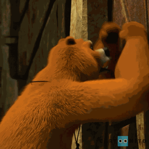 Déjame Entrar Grizzy And The Lemmings GIF