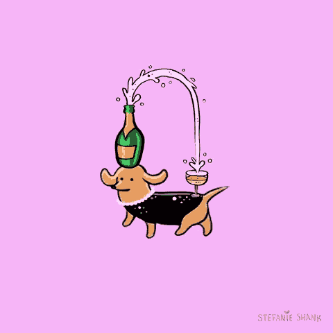 Dachshund Stefanies Hank GIF