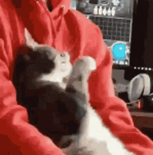 Dafuq Wtf GIF