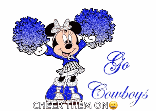 Dallas Cowboys Go Cowboys GIF