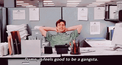 Damn, It Feels Good To Be A Gangsta GIF