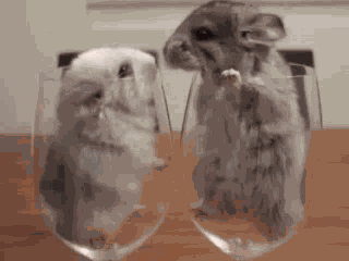 Damn GIF