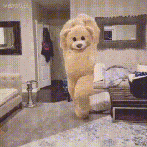 Dance Bear GIF