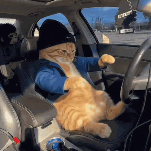 Dance Dance Dance Cute GIF