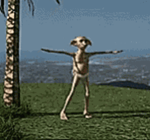 Dance Dobbi GIF