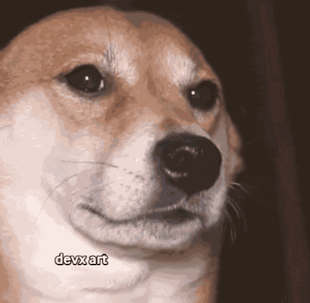 Dance Dog GIF