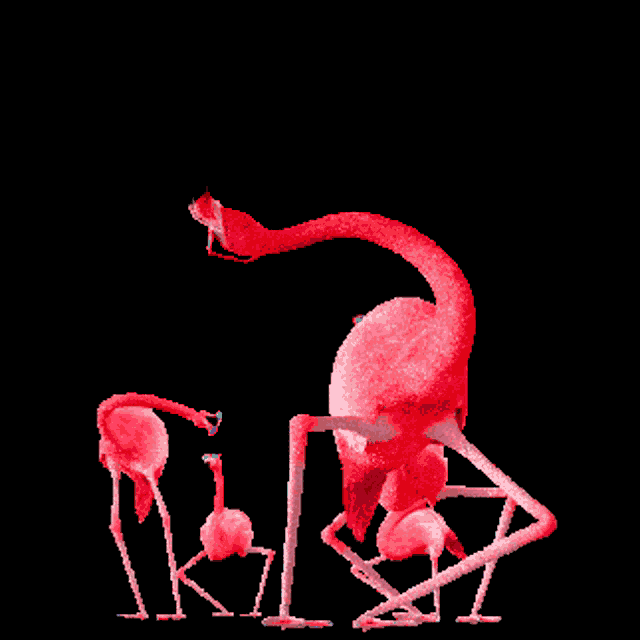 Dance Flamingo GIF