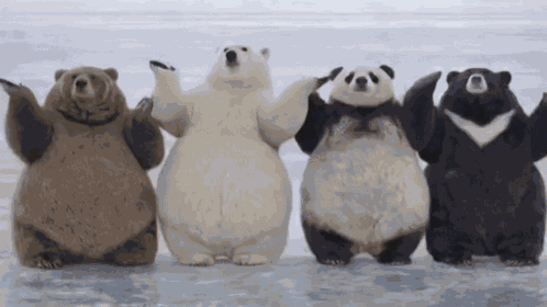 Dancing Bears Polar Bear GIF