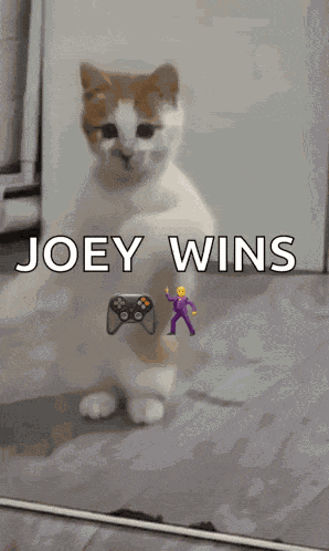 Dancing Cat Dance GIF