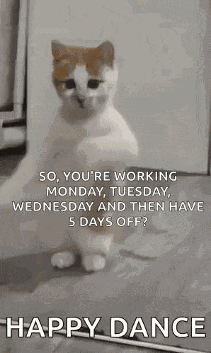 Dancing Cat Dance GIF