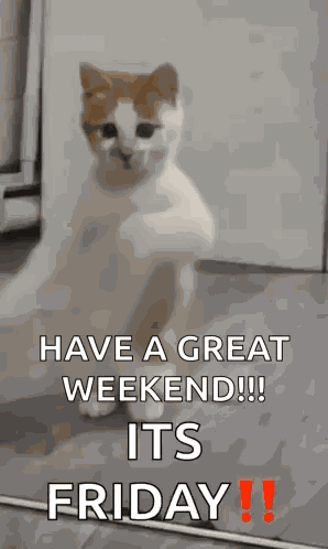 Dancing Cat Dance GIF