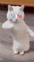 Dancing Cat GIF