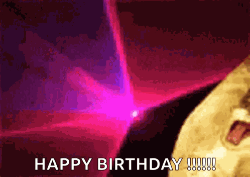 Dancing Cats GIF