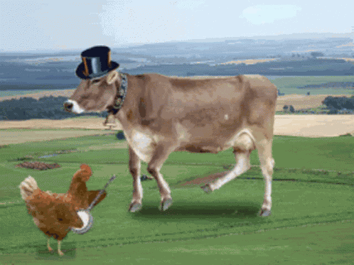 Dancing Cow GIF