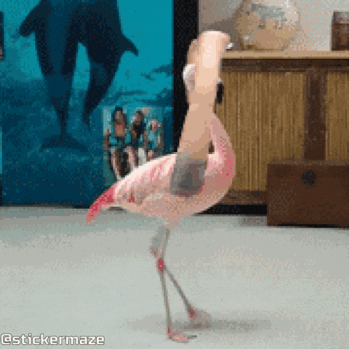 Dancing Cute GIF