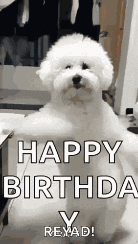 Dancing Dog GIF