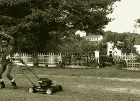 Dancing Law Mower GIF
