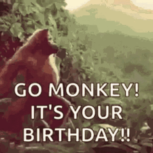 Dancing Monkey GIF