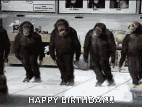 Dancing Monkeys GIF