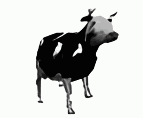 Dancing Polish GIF