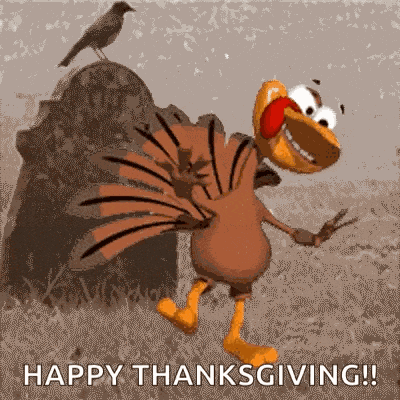 Dancingturkey Turkeydance GIF
