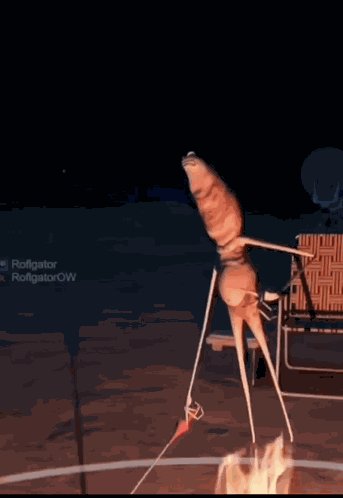 Dangerous Worm GIF