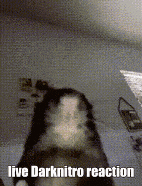 Darknitro Reaction GIF