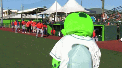 Daytona Tortugas Mascot GIF