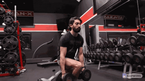 Db Bulgarian Split Squat GIF