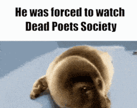 Dead Poets Society GIF