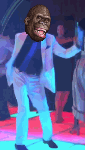 Deedify Deedy GIF