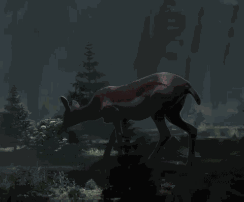 Deer Deer In Headlights GIF