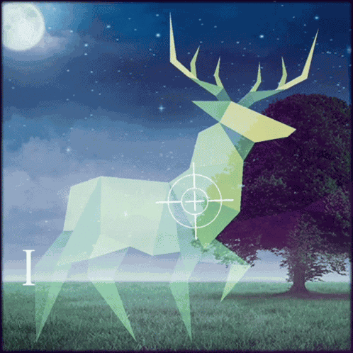 Deer Hunting GIF