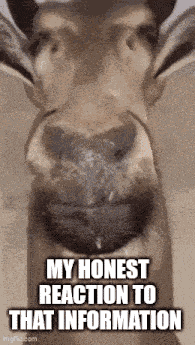 Deer My Honest Reaction Meme GIF