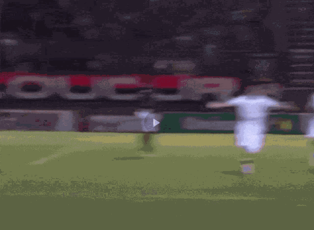 Defederico Corinthians GIF