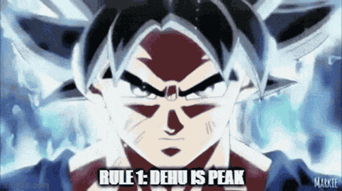 Dehu Rule 1 GIF