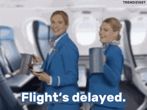 Delayed Flight GIF