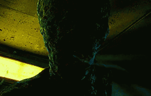 Dementors Kiss Harry Potter GIF