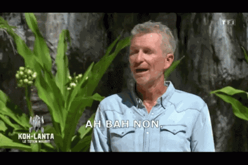 Denis Brogniart GIF