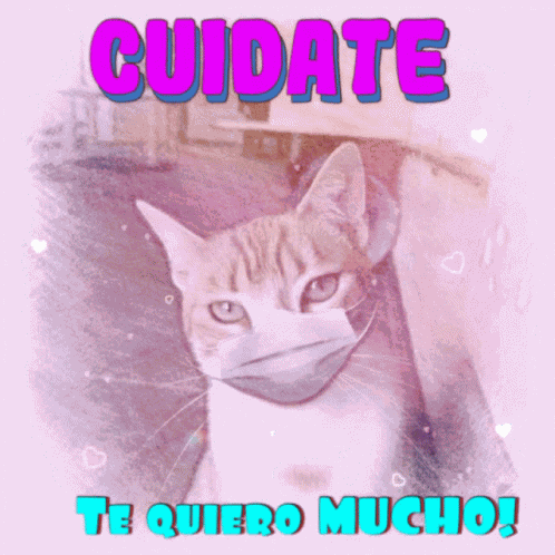 Despedida Saludo GIF