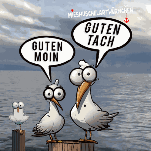 Dialekt Meer GIF