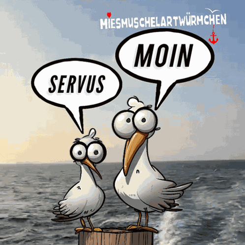Dialekt Meer GIF