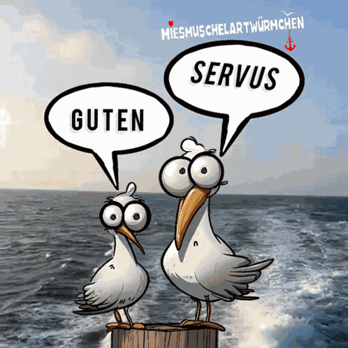 Dialekt Meer GIF
