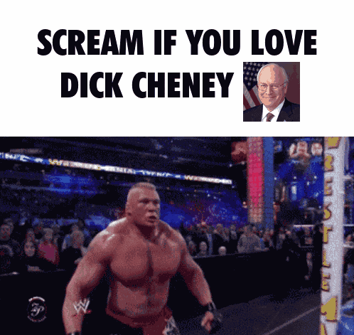 Dick Cheney Vice President GIF