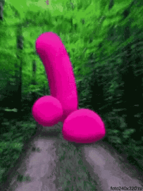 Dick Penis GIF
