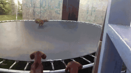 Did You See What I Did?! GIF