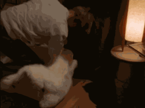 Dig Though Stuff Digging GIF