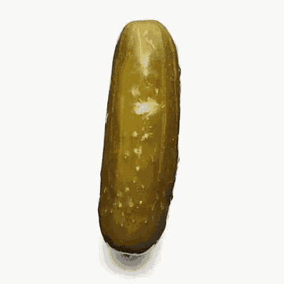 Dill With It Celery Family GIF