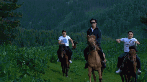 Dimash Dimash Horse GIF
